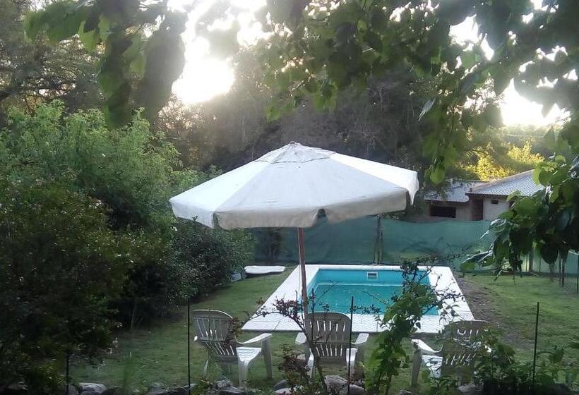 مبيت وإفطار Evergreen
