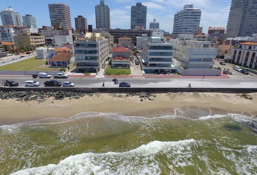 Alevines Playa El Emir Hostel & Suites