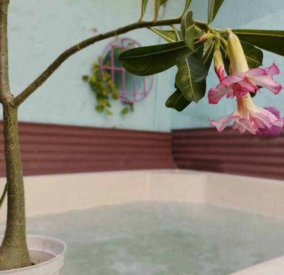 Hostel La Antigua Capsula