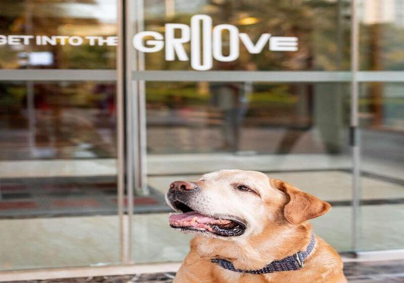 فندق Ibis Pune Hinjewadi   An Accor Brand