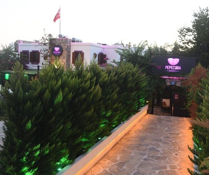 בית מלון כפרי Wish Suites Bodrum