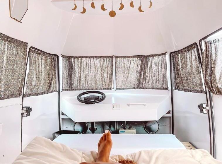 ユースホステル Ein Gedi Camp Lodge