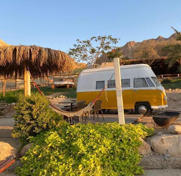 ユースホステル Ein Gedi Camp Lodge