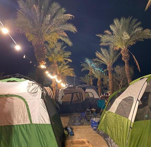 ユースホステル Ein Gedi Camp Lodge