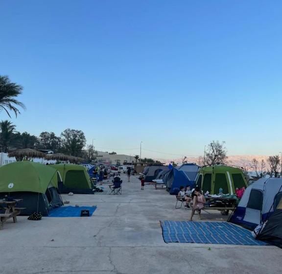 ユースホステル Ein Gedi Camp Lodge