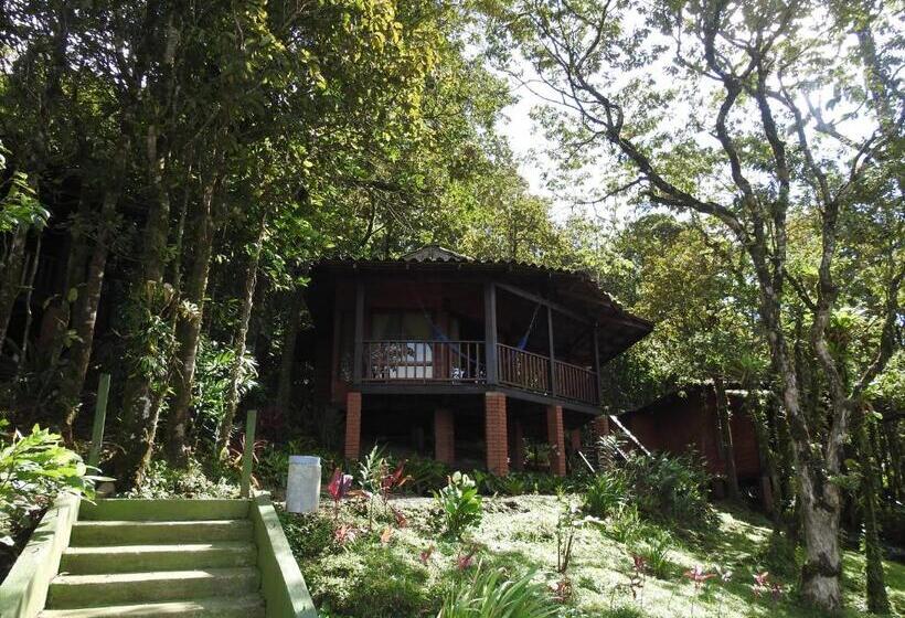 הוסטל Heliconias Rainforest Lodge