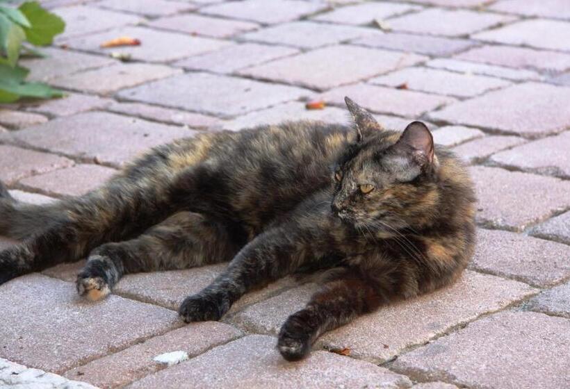 B&b Relais De Charme La Caminella