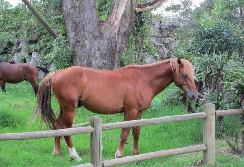 צימר Kattekwaad Accommodation