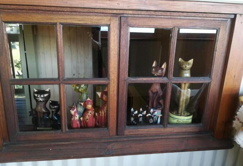 צימר Kattekwaad Accommodation