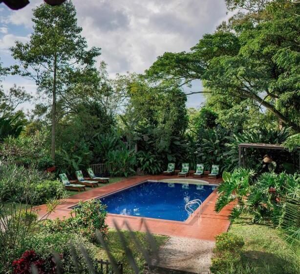 هتل Hacienda Bambusa