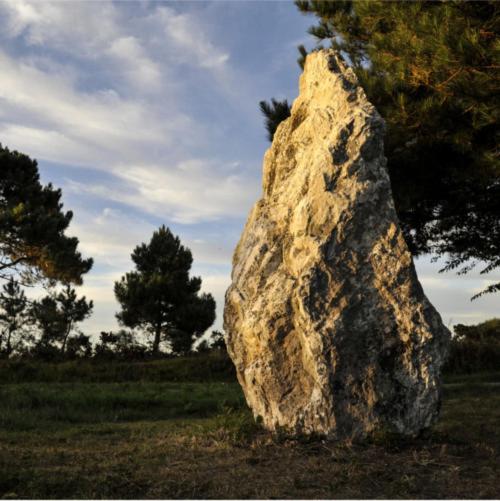 酒店 Hôtel Restaurant Corto Maltese