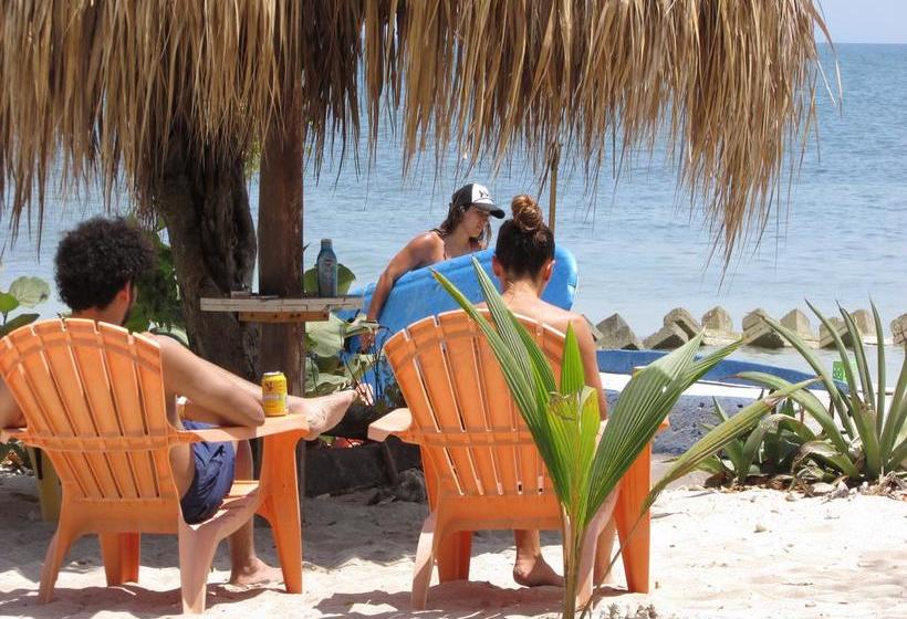 ユースホステル Isla Luna Beach Barú
