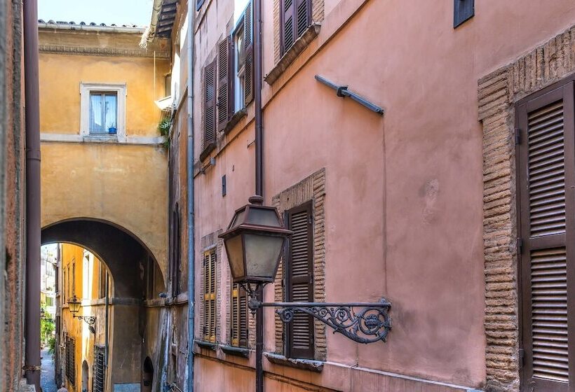 Fotos del hotel Navona Essence:  14