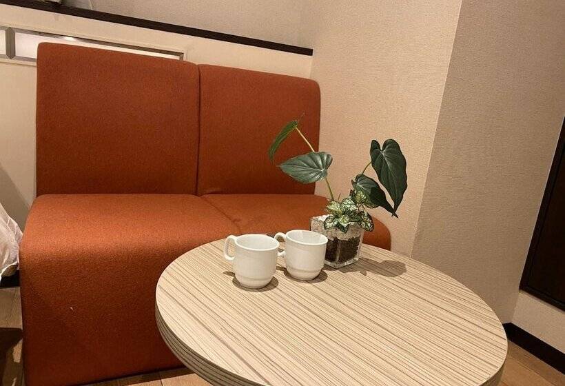 Fotos del hotel Nipponbashi Luxe:  5