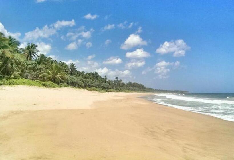 هتل Nirvana Beach Boutique