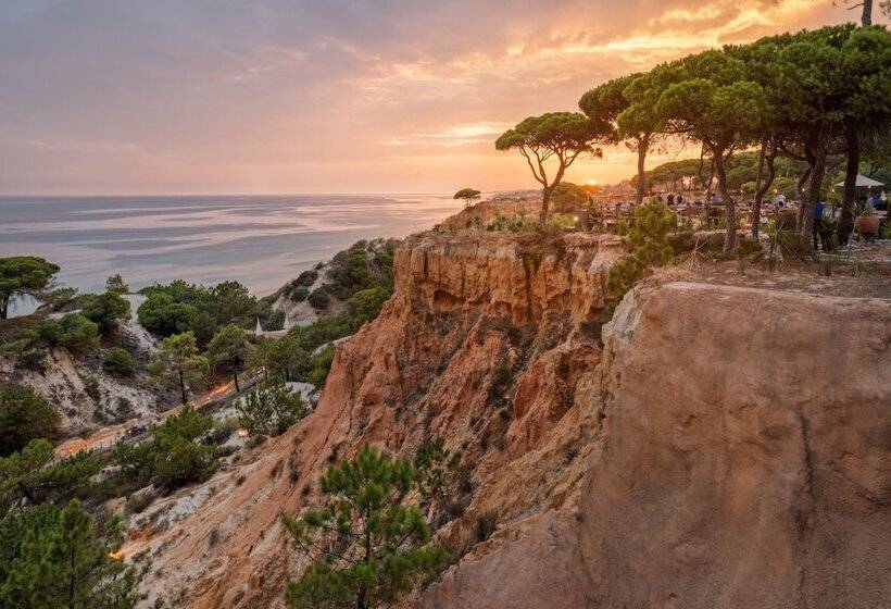 فندق Pine Cliffs Gardens