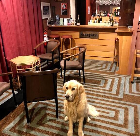 فندق على الطريق Cottonwood Lodge