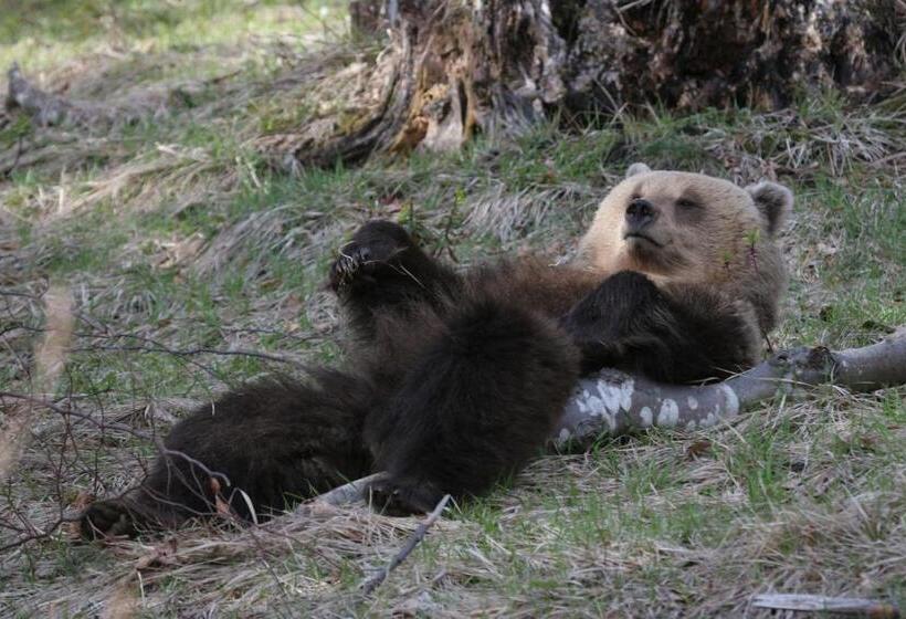 فندق Pansion I Restoran Bijela Ruža