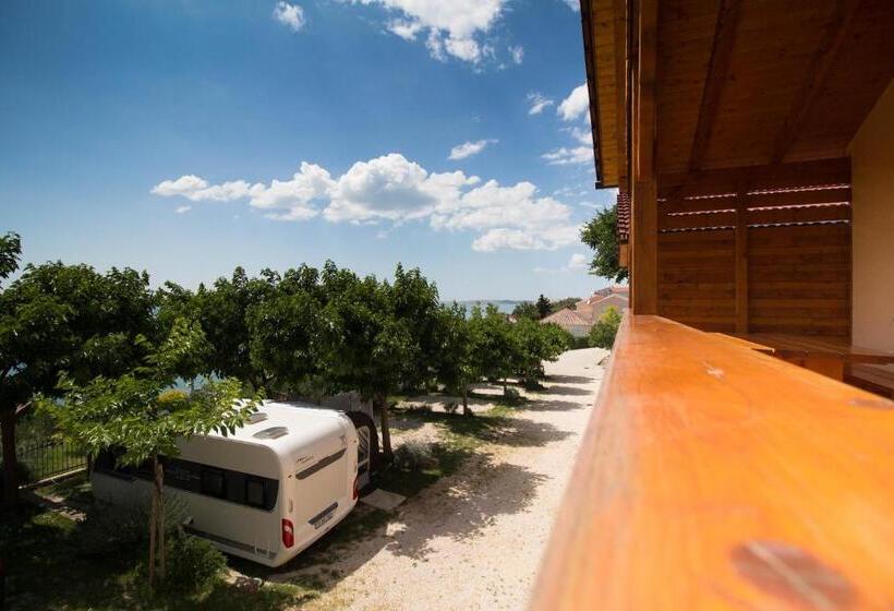 Odmoree Camp & Hostel