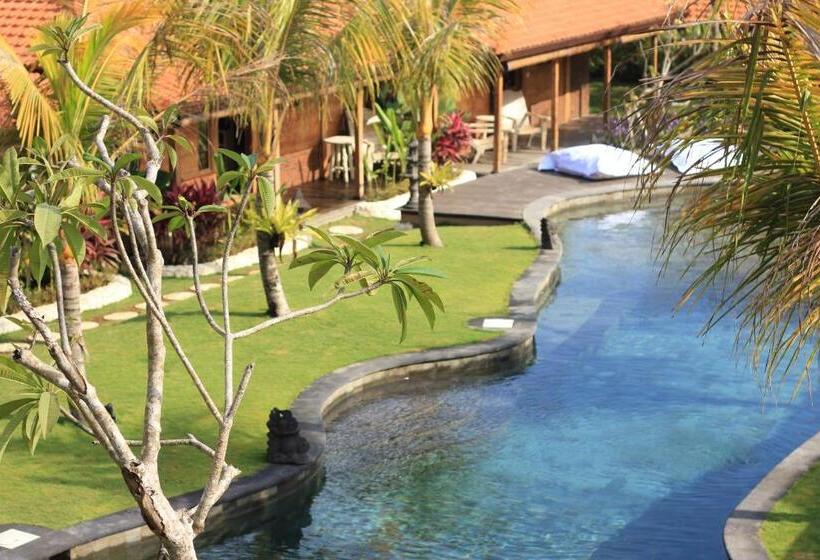 Yoga Searcher Bali