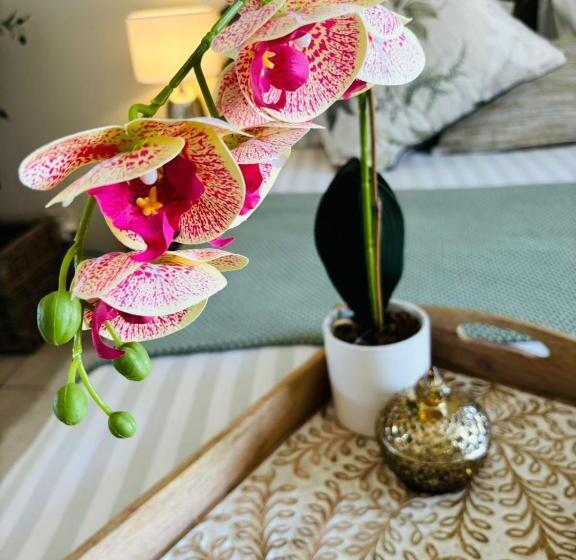 هتل Bliss In The Bay Guesthouse