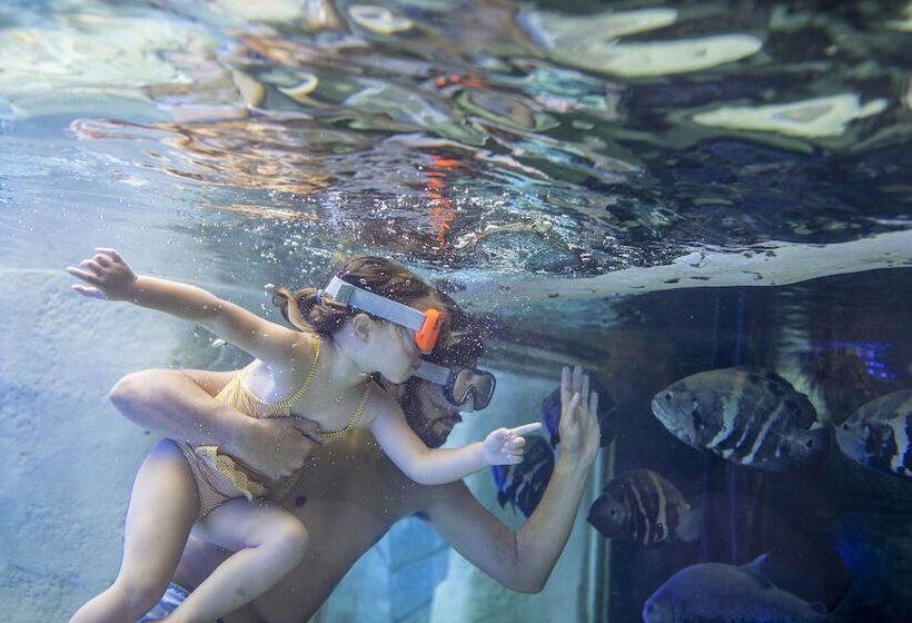 هتل Center Parcs Le Bois Aux Daims