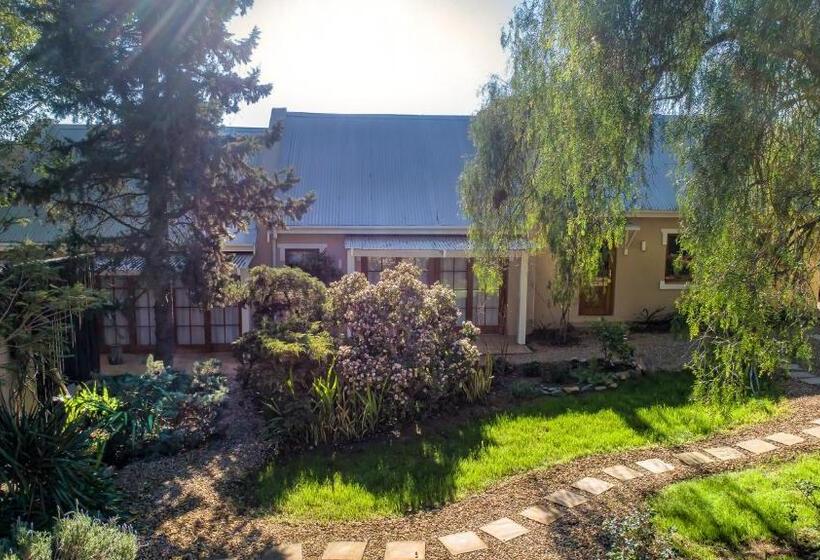 Fotos del hotel Darling Lodge Guest House:  37