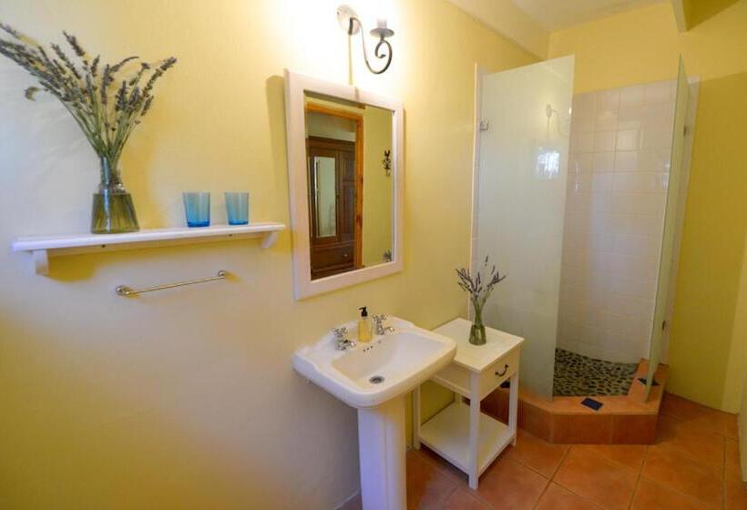 Fotos del hotel Darling Lodge Guest House:  14