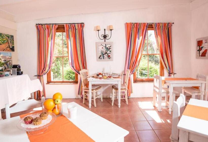 Fotos del hotel Darling Lodge Guest House:  32