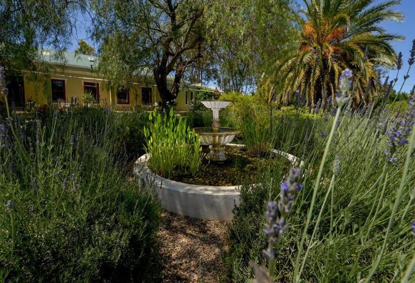 Fotos del hotel Darling Lodge Guest House:  27