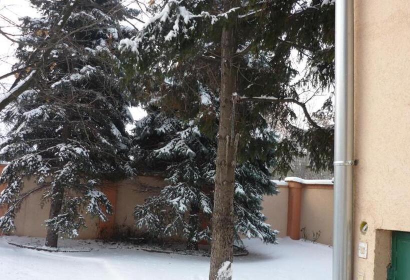 Fotos del hotel Jáde Panzió:  13