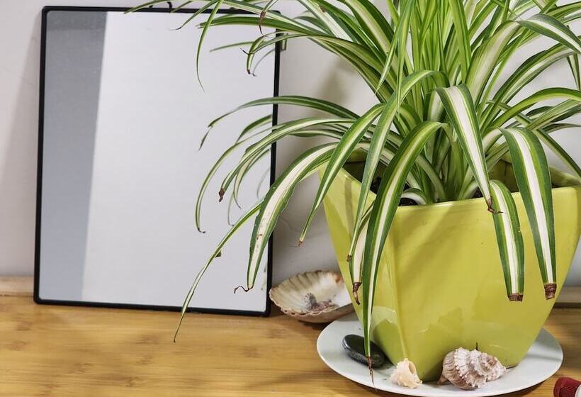 هتل Newton Lodge Auckland