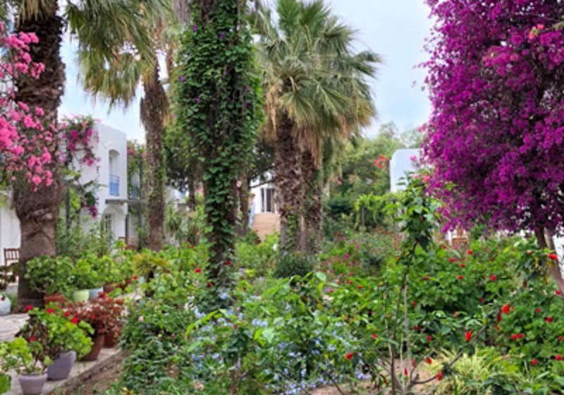 فندق Tamarisk Murat