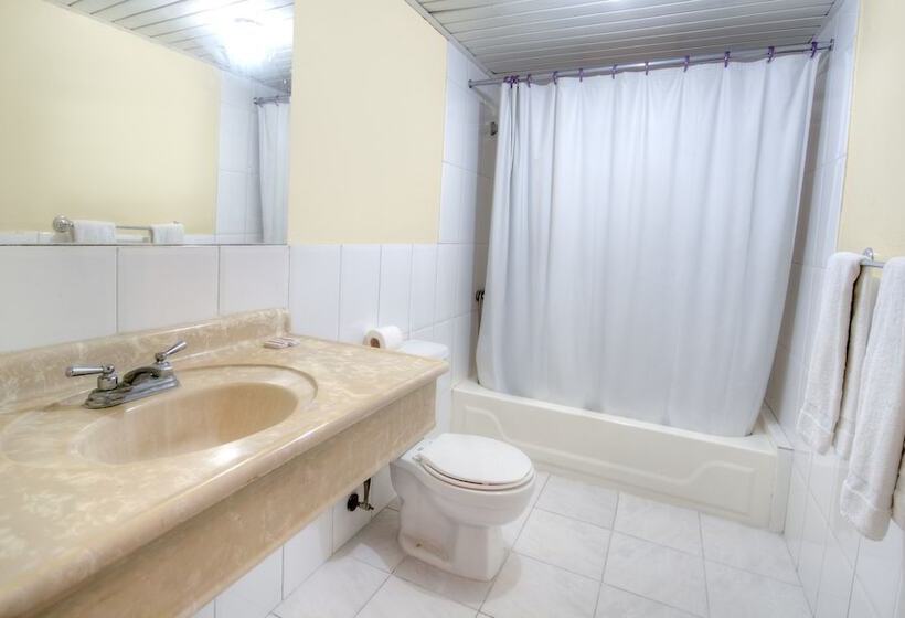 Fotos del hotel Apart Plaza Colonial:  10