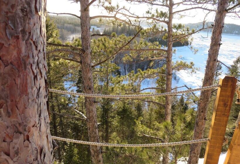 בית מלון כפרי Gite Du Haut Des Arbres