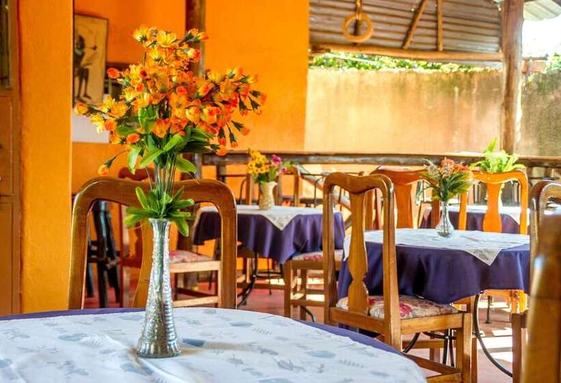 هتل Gorilla African Guest House