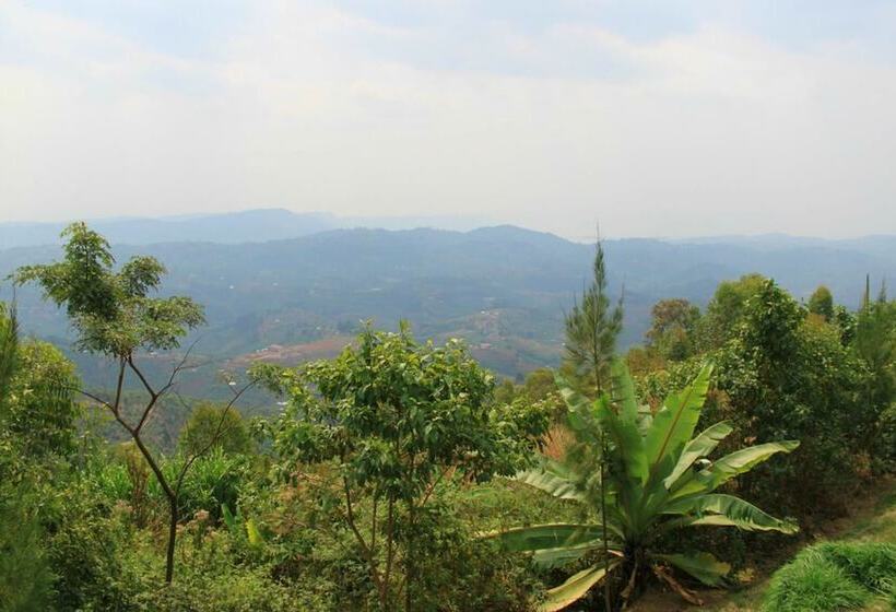 هتل Nyungwe Top View
