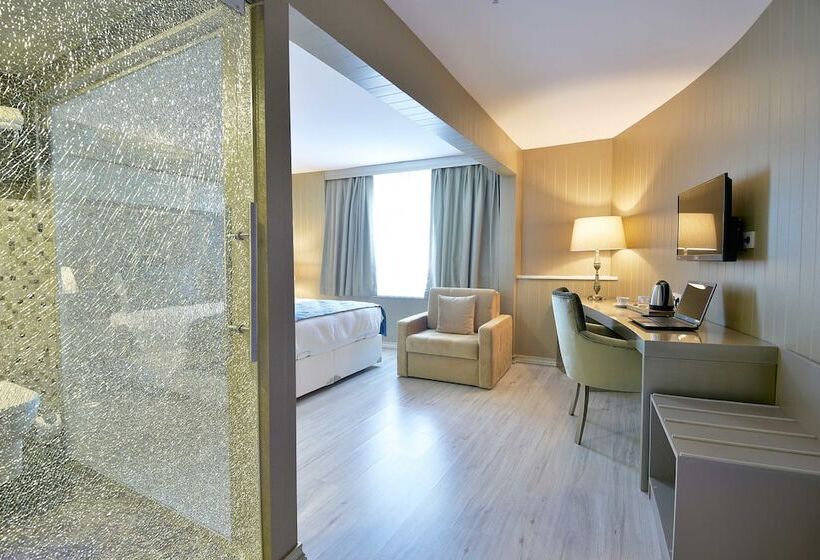 Fotos del hotel Piccolo Hotel Istanbul:  3