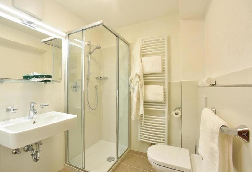 בית מלון כפרי Residence Salvan