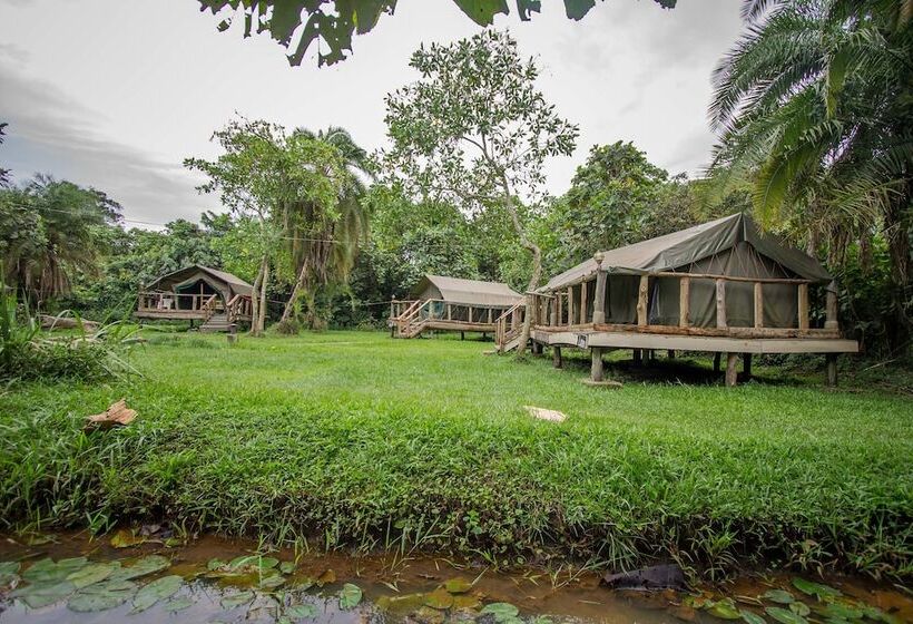 Hotel Roots Retreat And Camping Resort