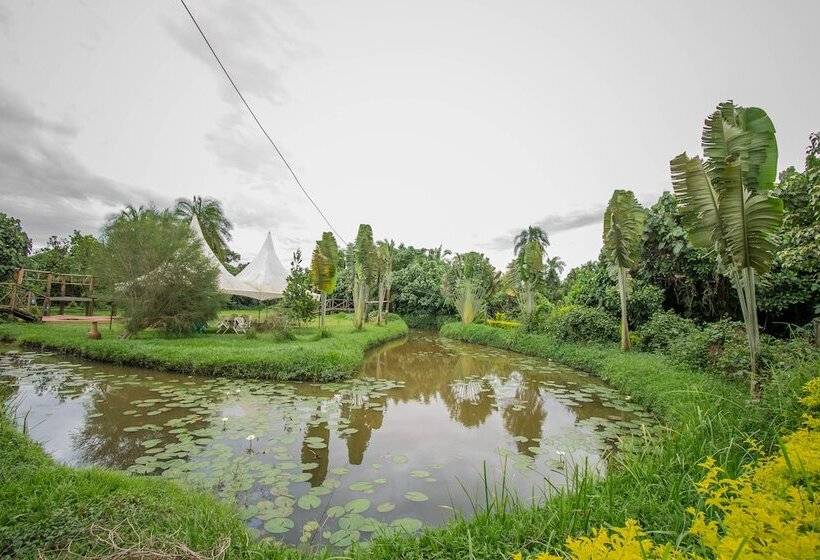 Hotel Roots Retreat And Camping Resort