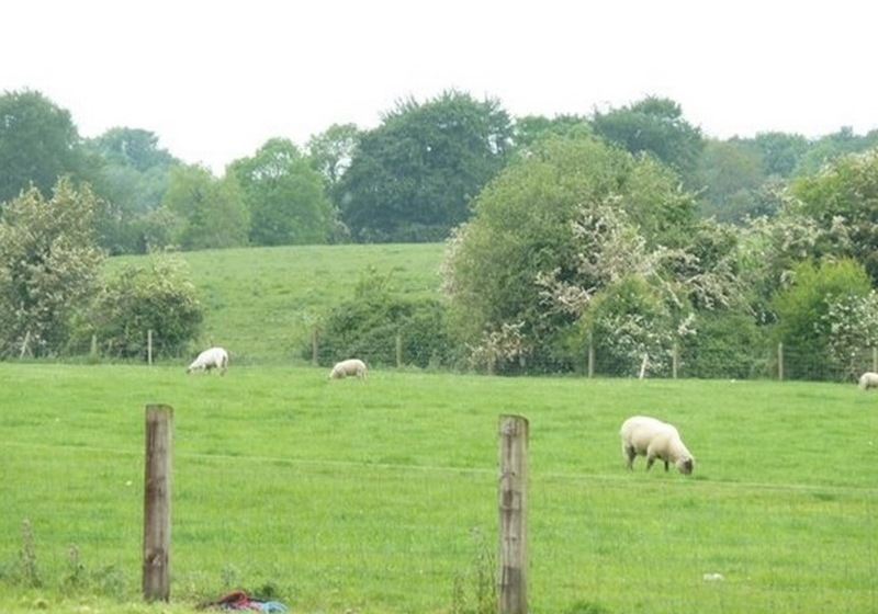 Eaglehill B&b