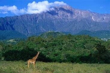 Hotel Elewana Arusha Coffee Lodge