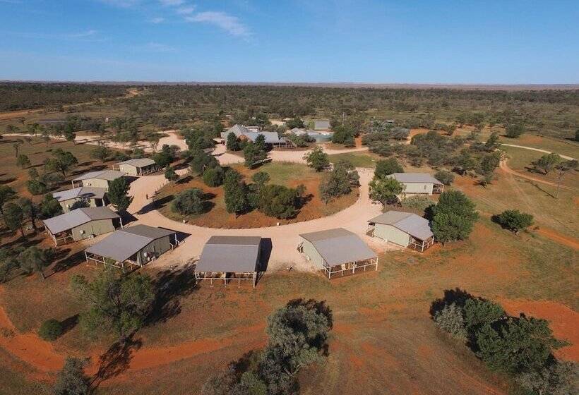 Fotos del hotel Mungo Lodge:  37