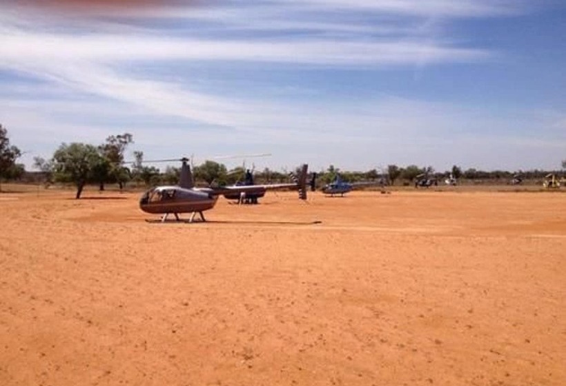 Fotos del hotel Mungo Lodge:  40