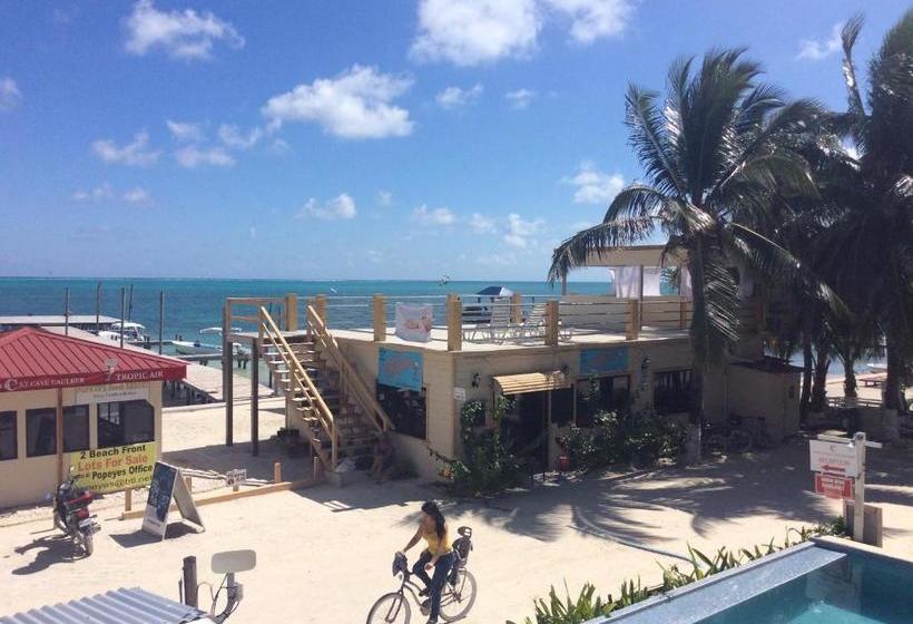בית מלון כפרי The Beach Club Resort At Caye Caulker