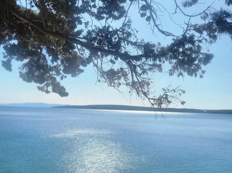 Отель Plava Laguna
