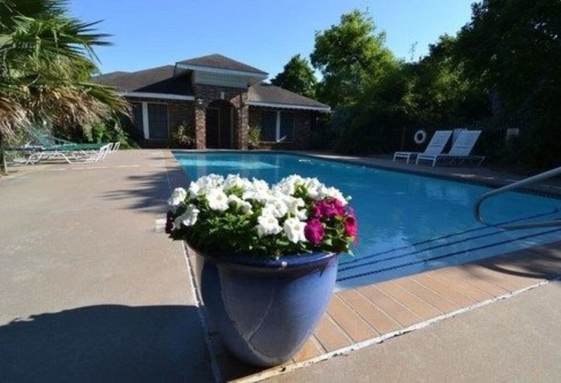 ホテル Far View   A Bed & Breakfast Estate