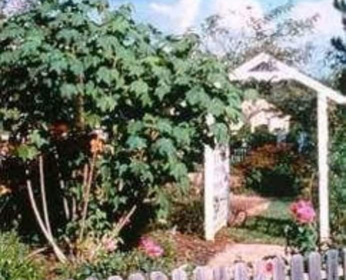 ホテル Far View   A Bed & Breakfast Estate