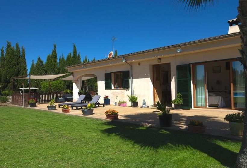 Отель Finca Can Coll